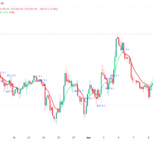 The indicator will give text signal and change the color of the signal candle, being based exclusively on the setup 9.1