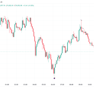 This indicator finds possible points of reversion, you can use it to stack positions and get a good average price for when the price changes direction, it is the trader responsibility to manage the position and make a profit.